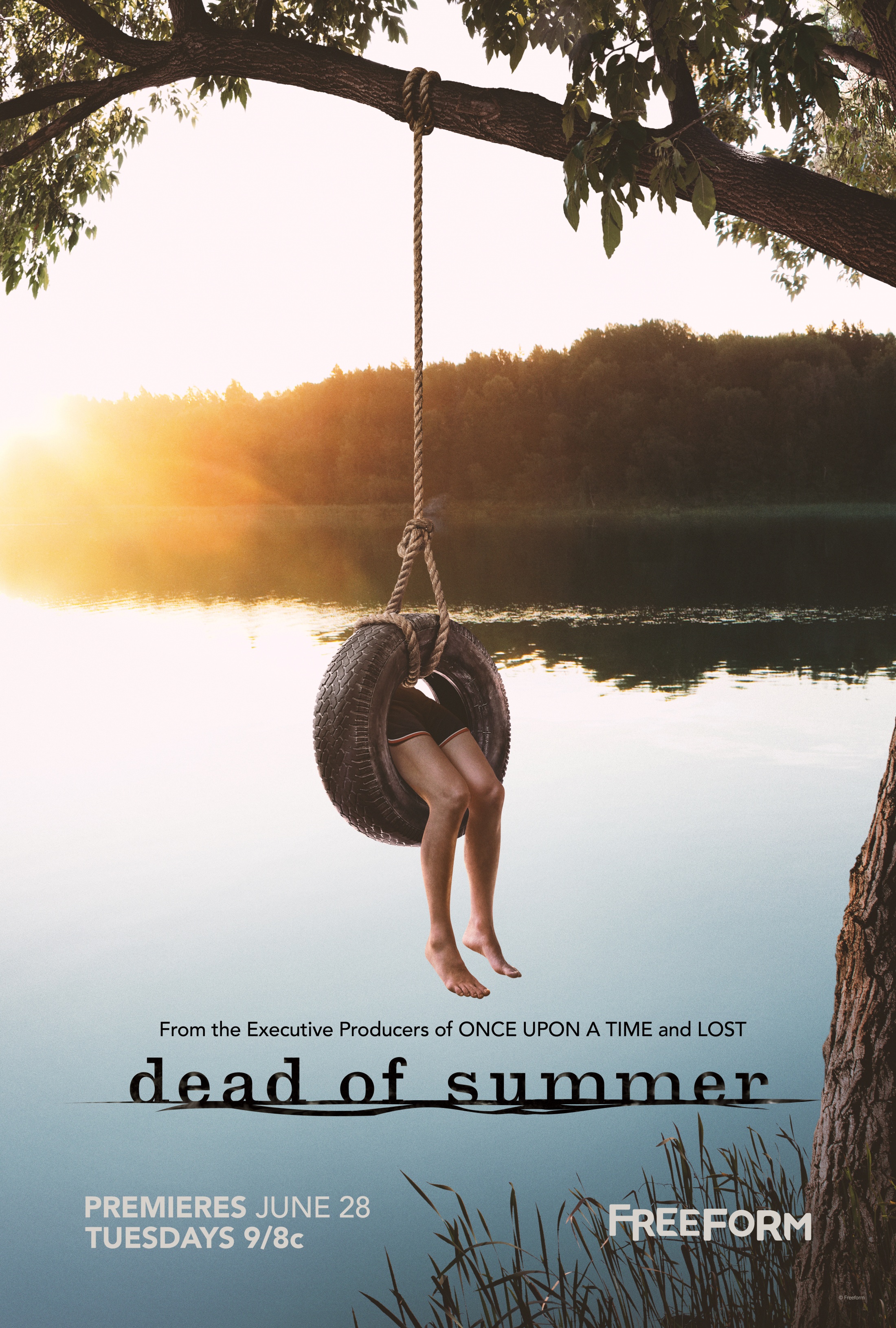 Thumbnail for Freeform Dead of Summer Tire Swing