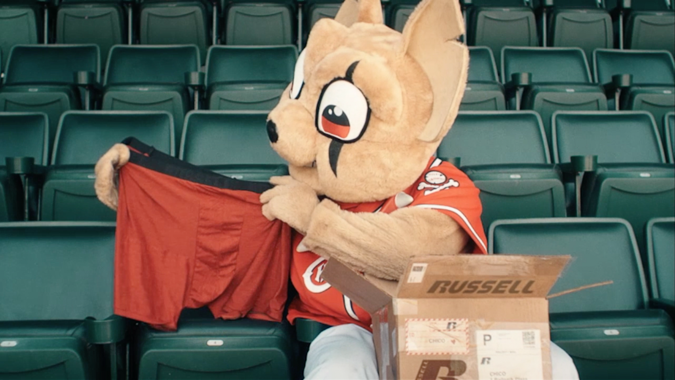 Russell Athletic MINOR LEAGUE MASCOTS, MAJOR LEAGUE FUNK Clios