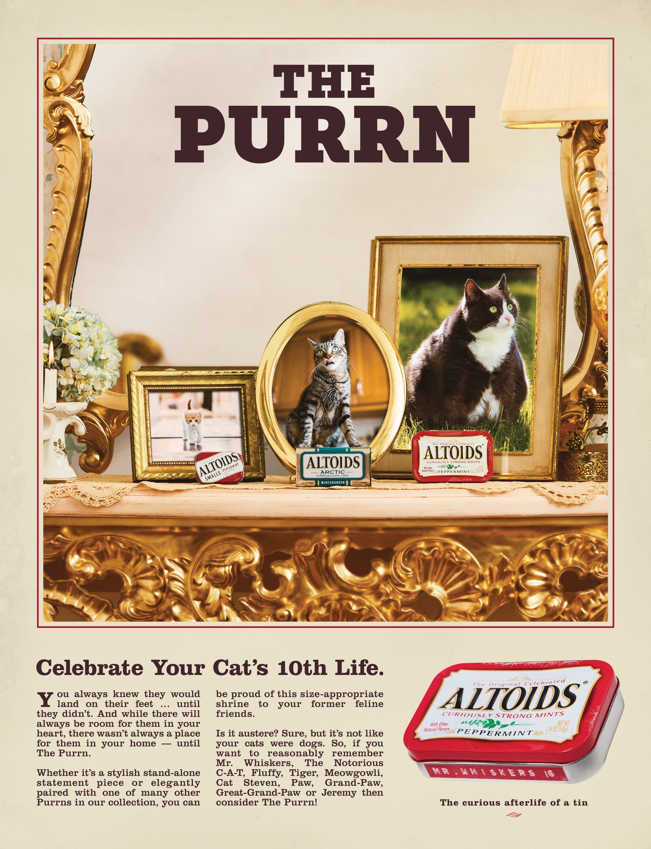 Thumbnail for Purrn