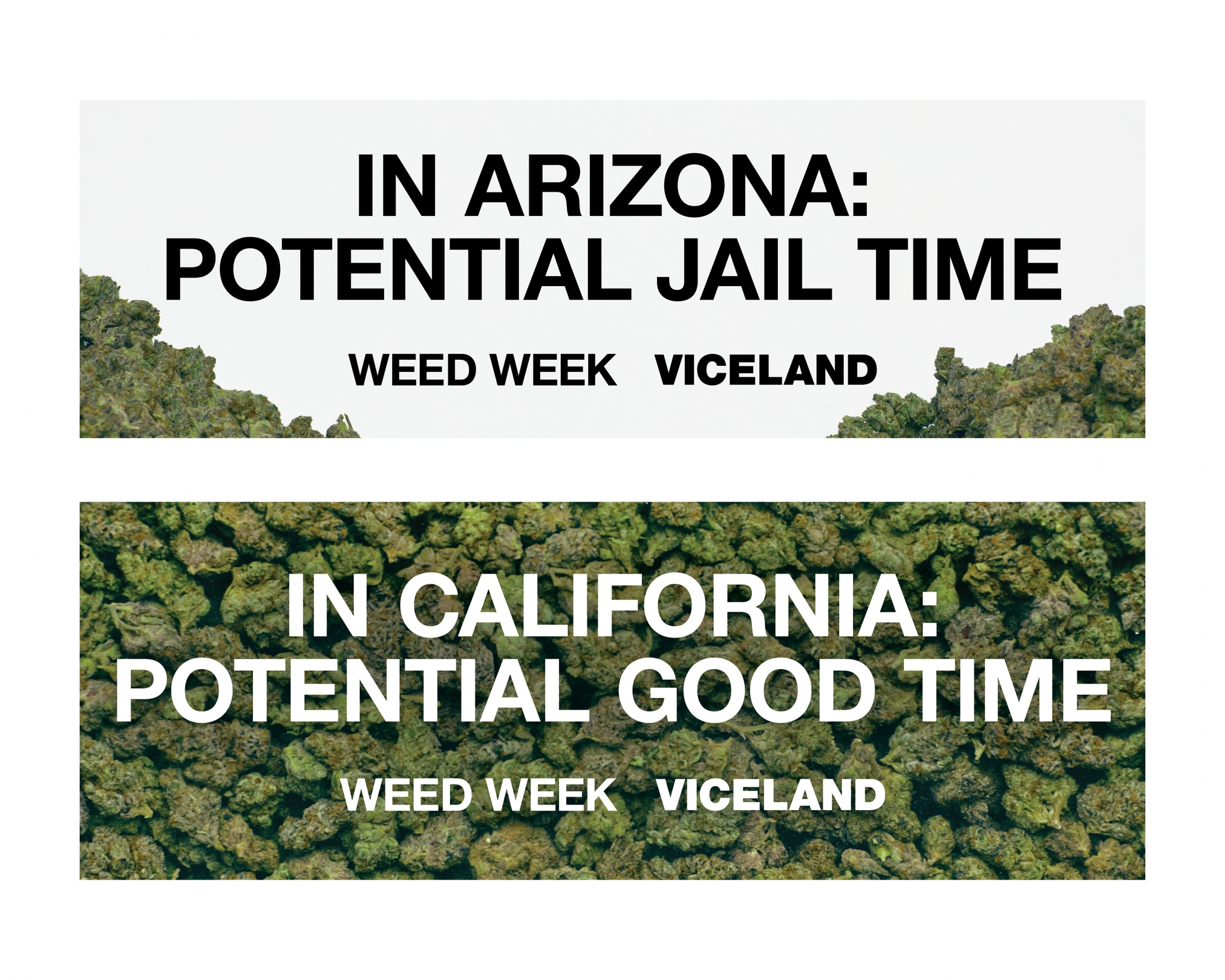 Thumbnail for VICELAND On The Border Of Marijuana Legislation