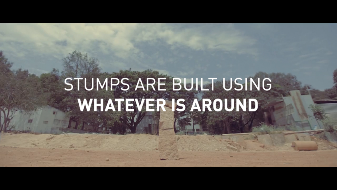 Thumbnail for The Striped Stumps