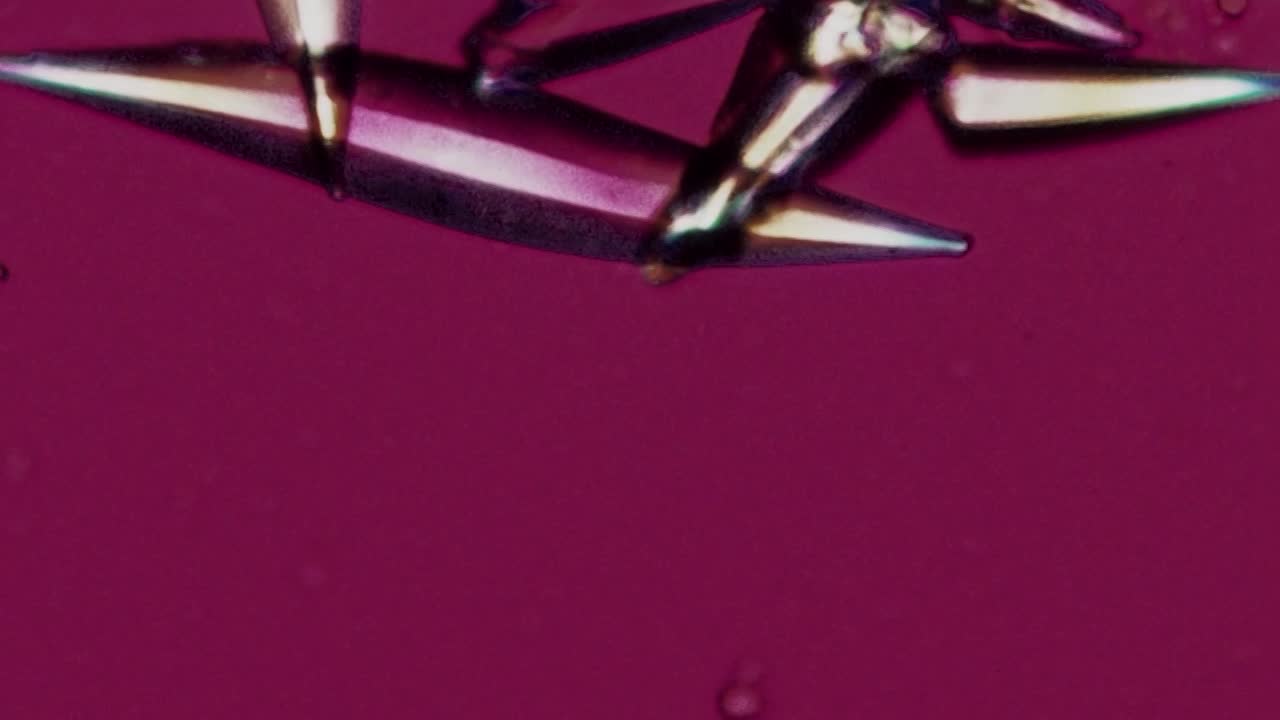 Thumbnail for Change Gout