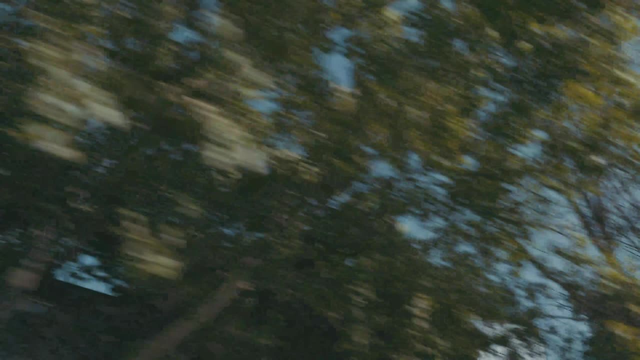 Thumbnail for Semenya's speedy surprise - Right behind the World's Fastest Woman
