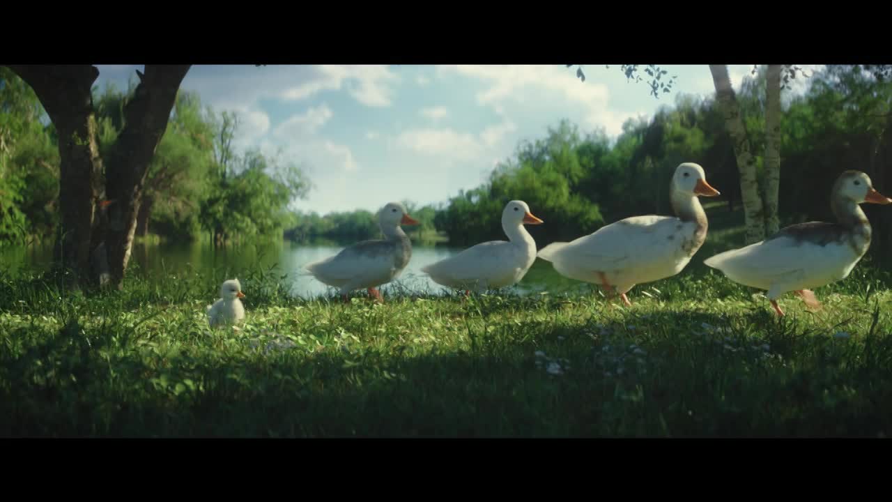 Thumbnail for The little duck