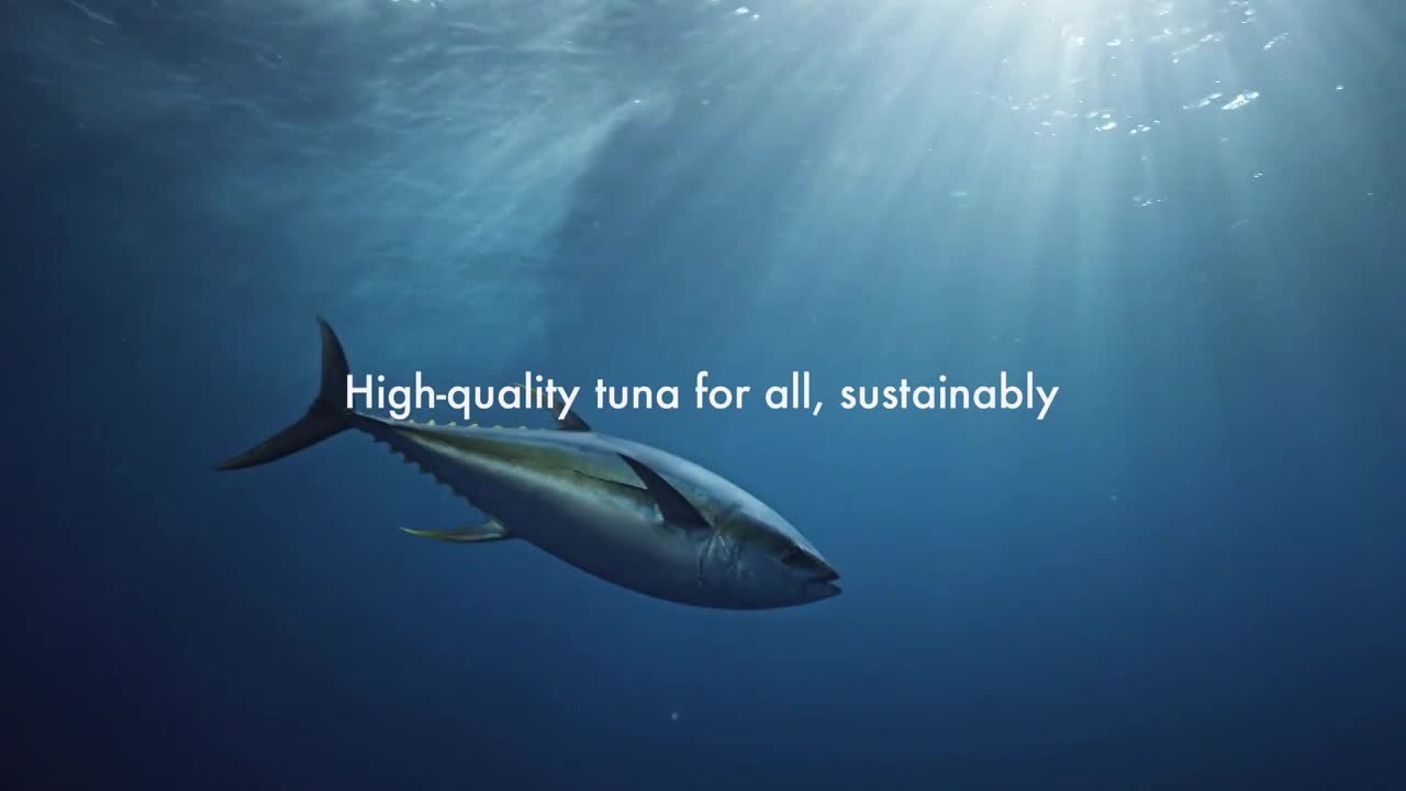 Thumbnail for TUNA SCOPE