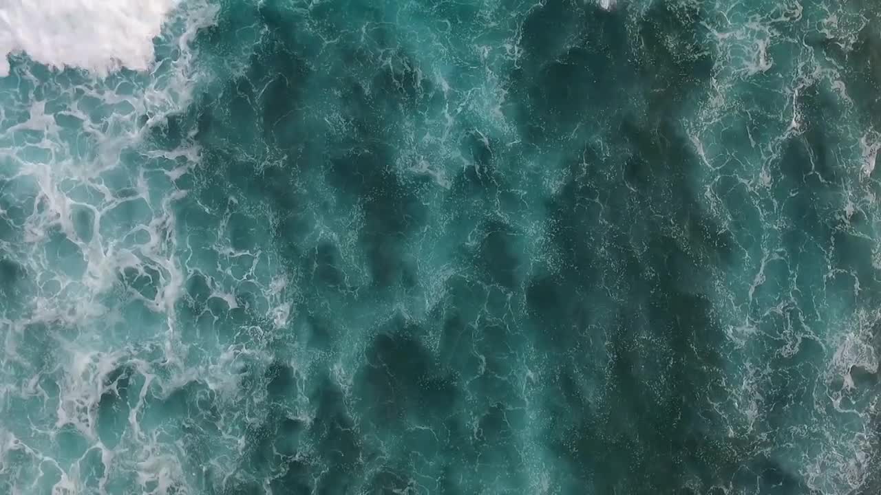 Thumbnail for Sounds of Future Ocean
