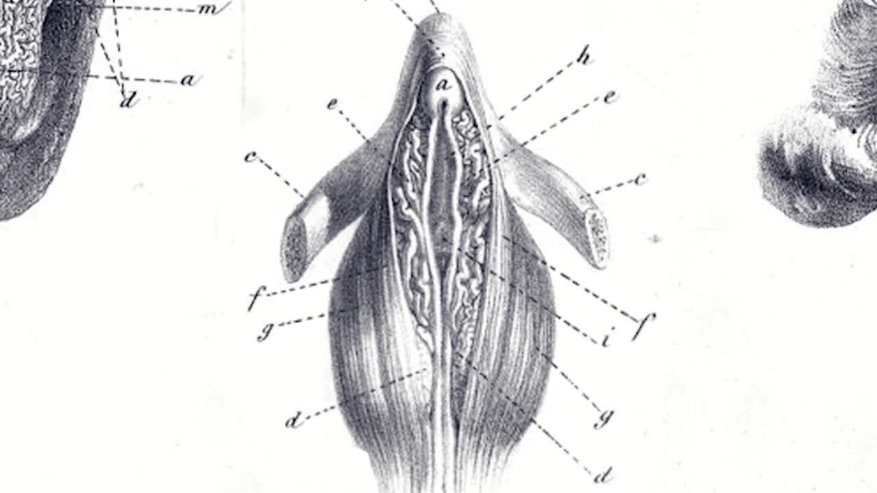 Thumbnail for THE MISSING PAGE