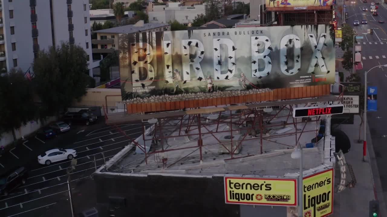 Thumbnail for Netflix Bird Box 3D Billboard
