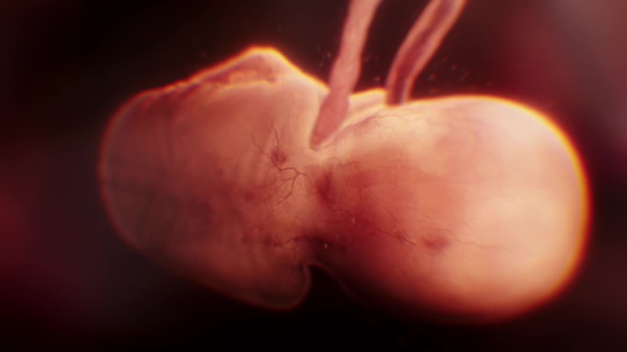 Thumbnail for AHS S8 - Hourglass