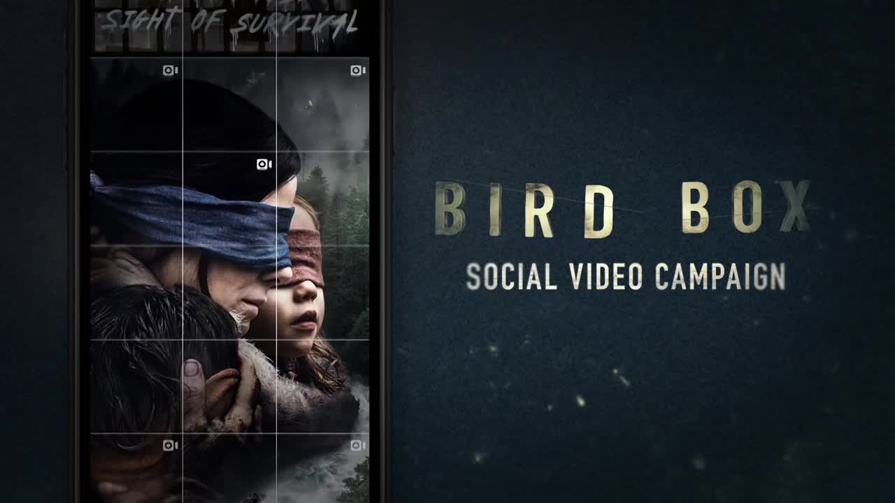 Thumbnail for Bird Box Social Video Campaign