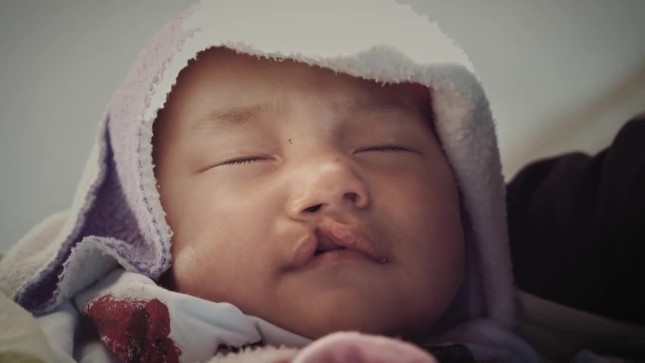 Thumbnail for The Cleft Collection