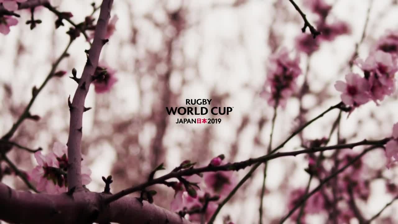 Thumbnail for Rugby World Cup - Japan 2019