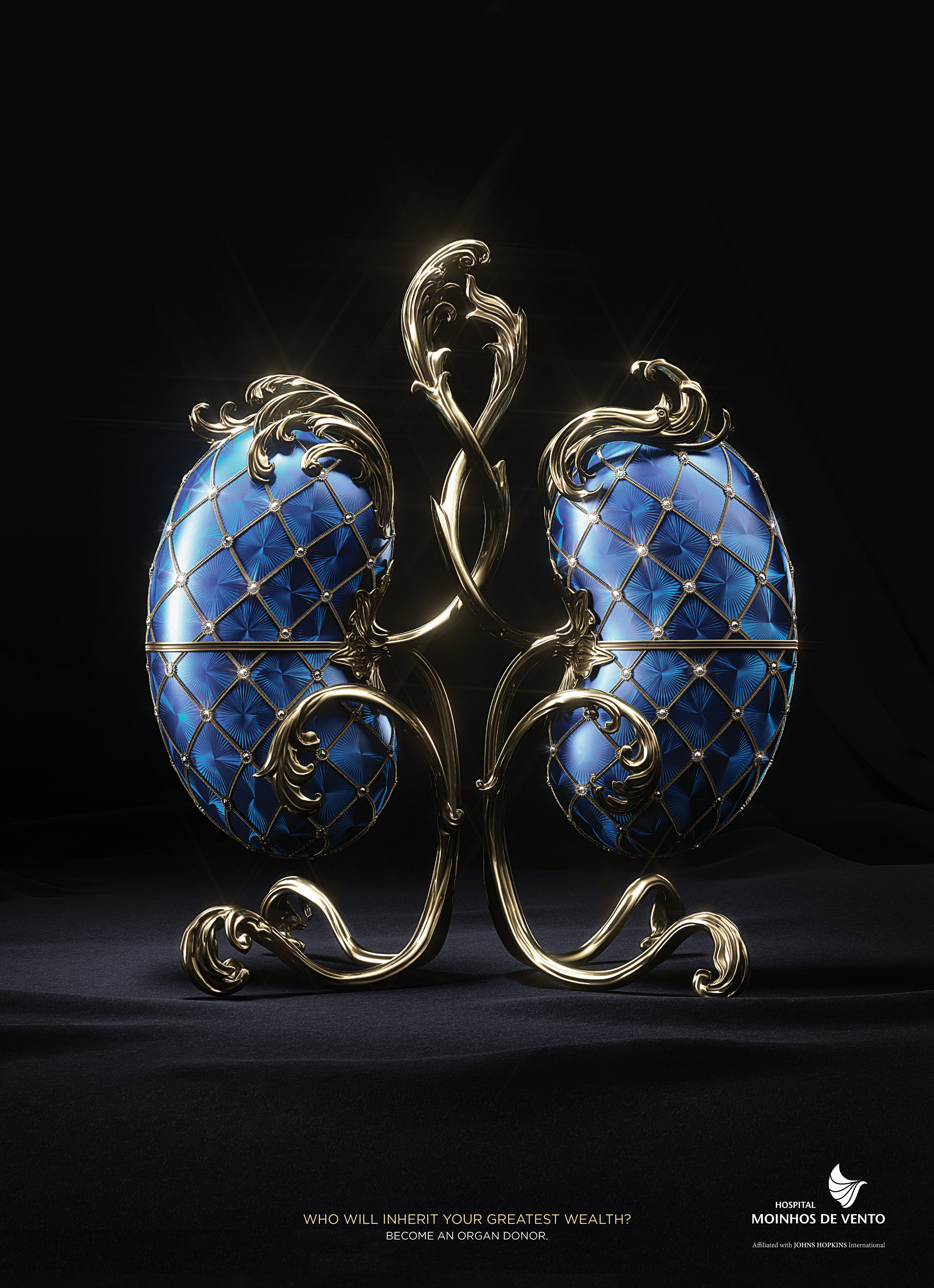 Thumbnail for Valuable kidney