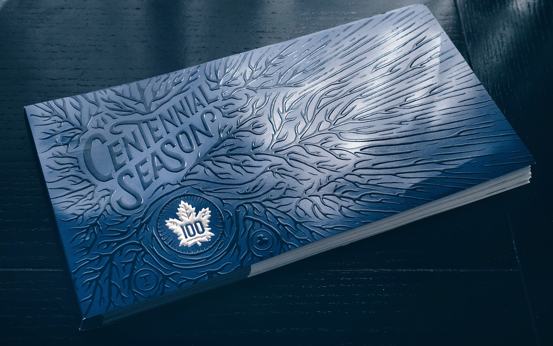 Thumbnail for Toronto Maple Leafs 2016-17 Centennial Season Ticket Package