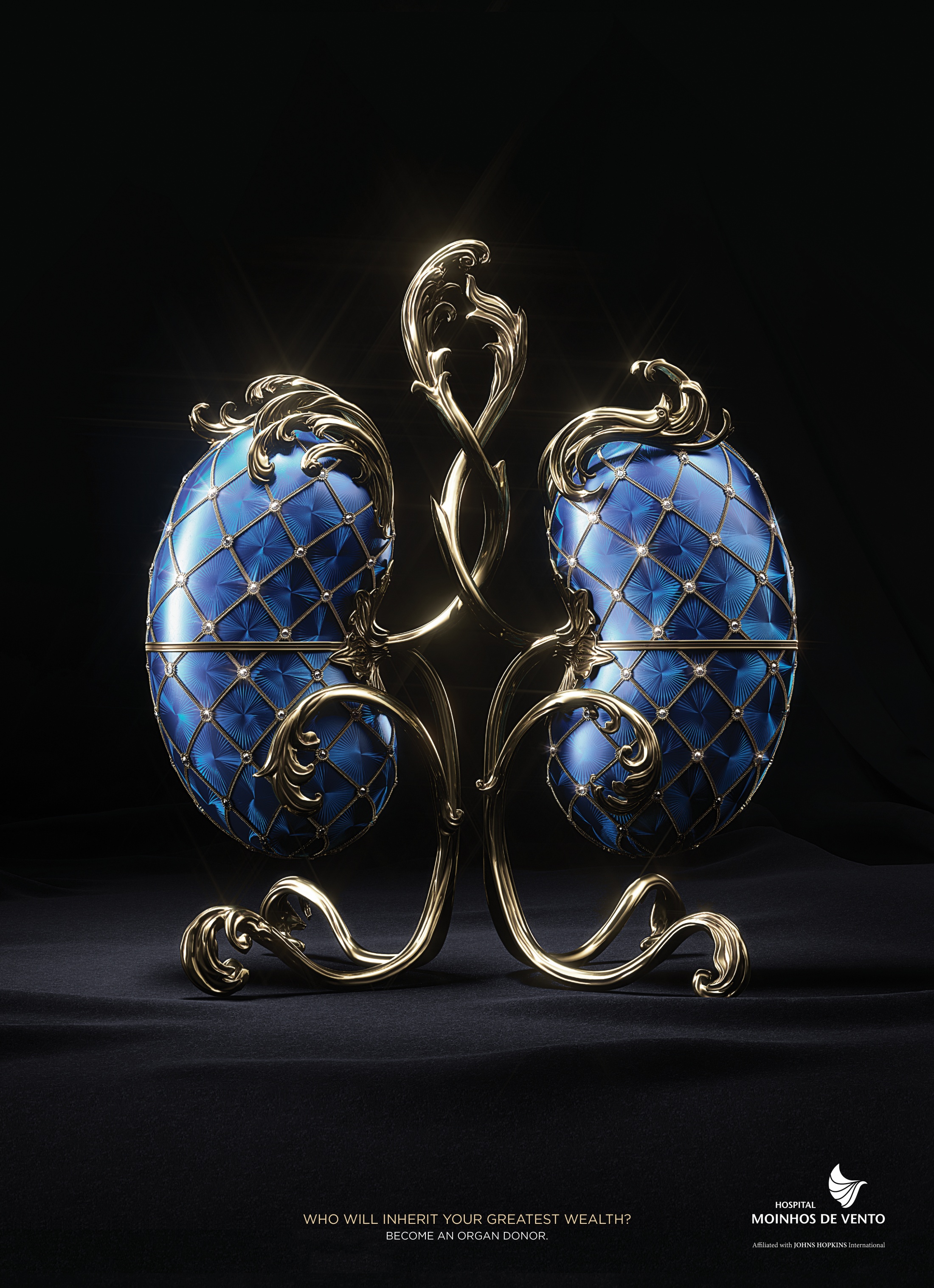 Thumbnail for Valuable kidney