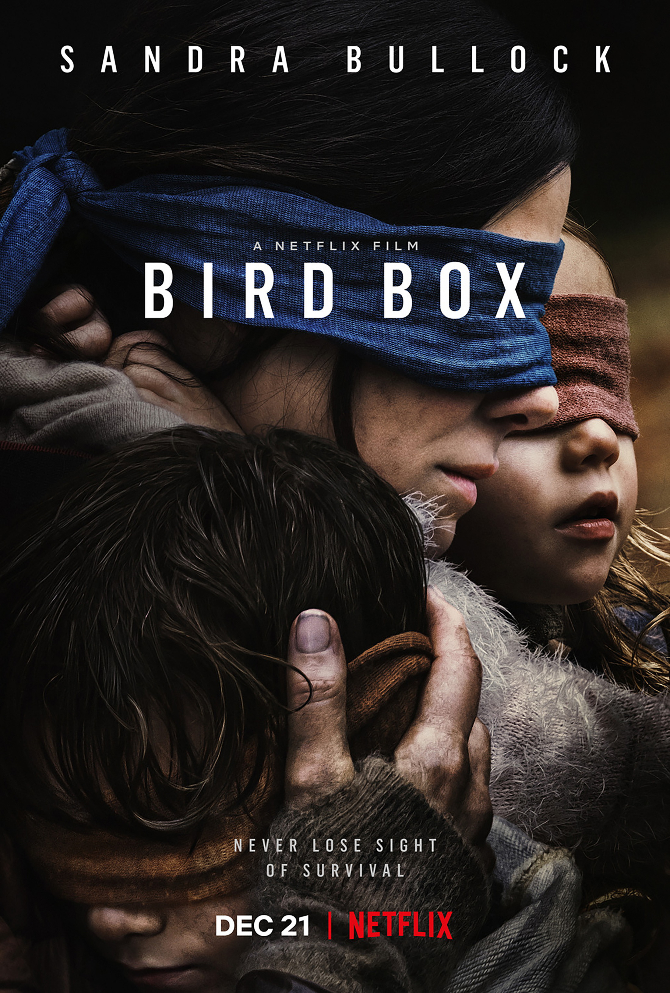 Thumbnail for Bird Box