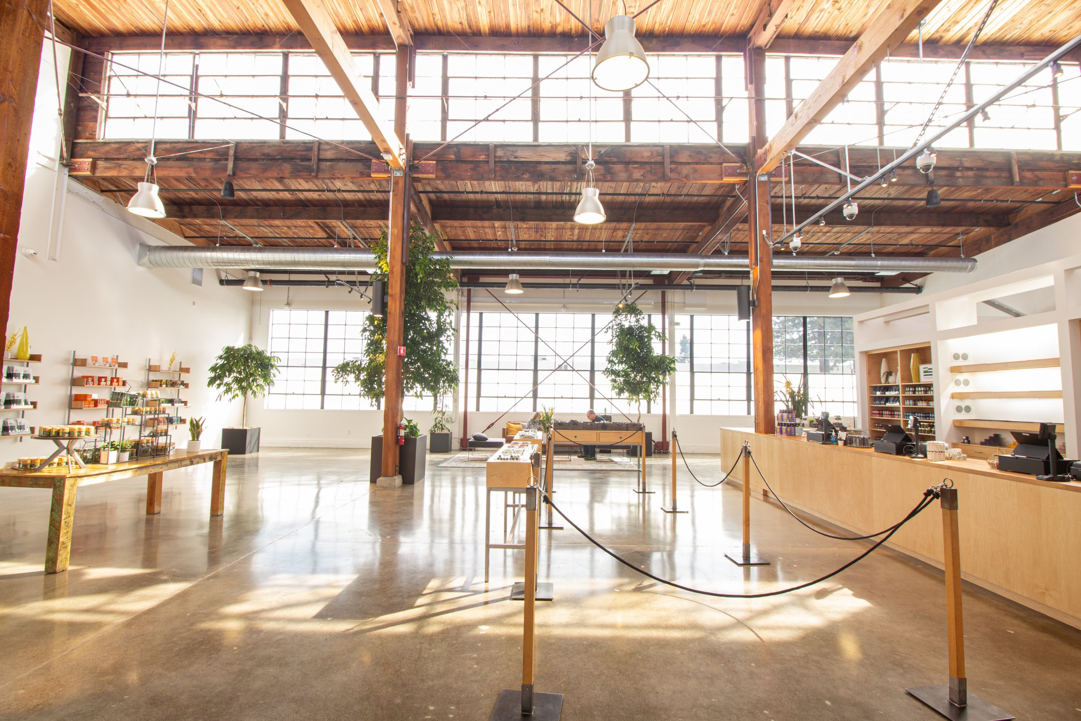 Harborside Reimagining the cannabis retail experience through a