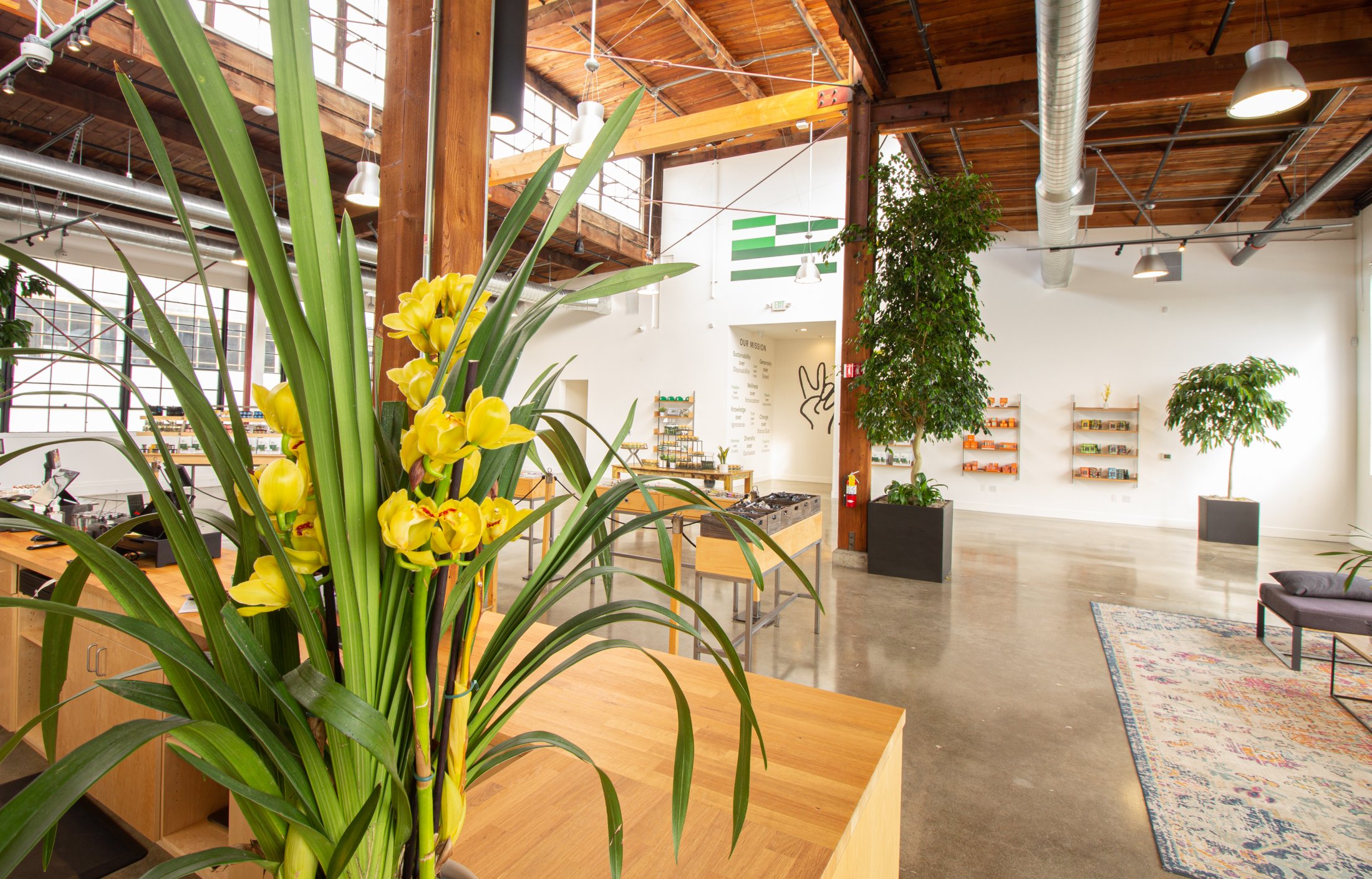 Harborside Reimagining the cannabis retail experience through a
