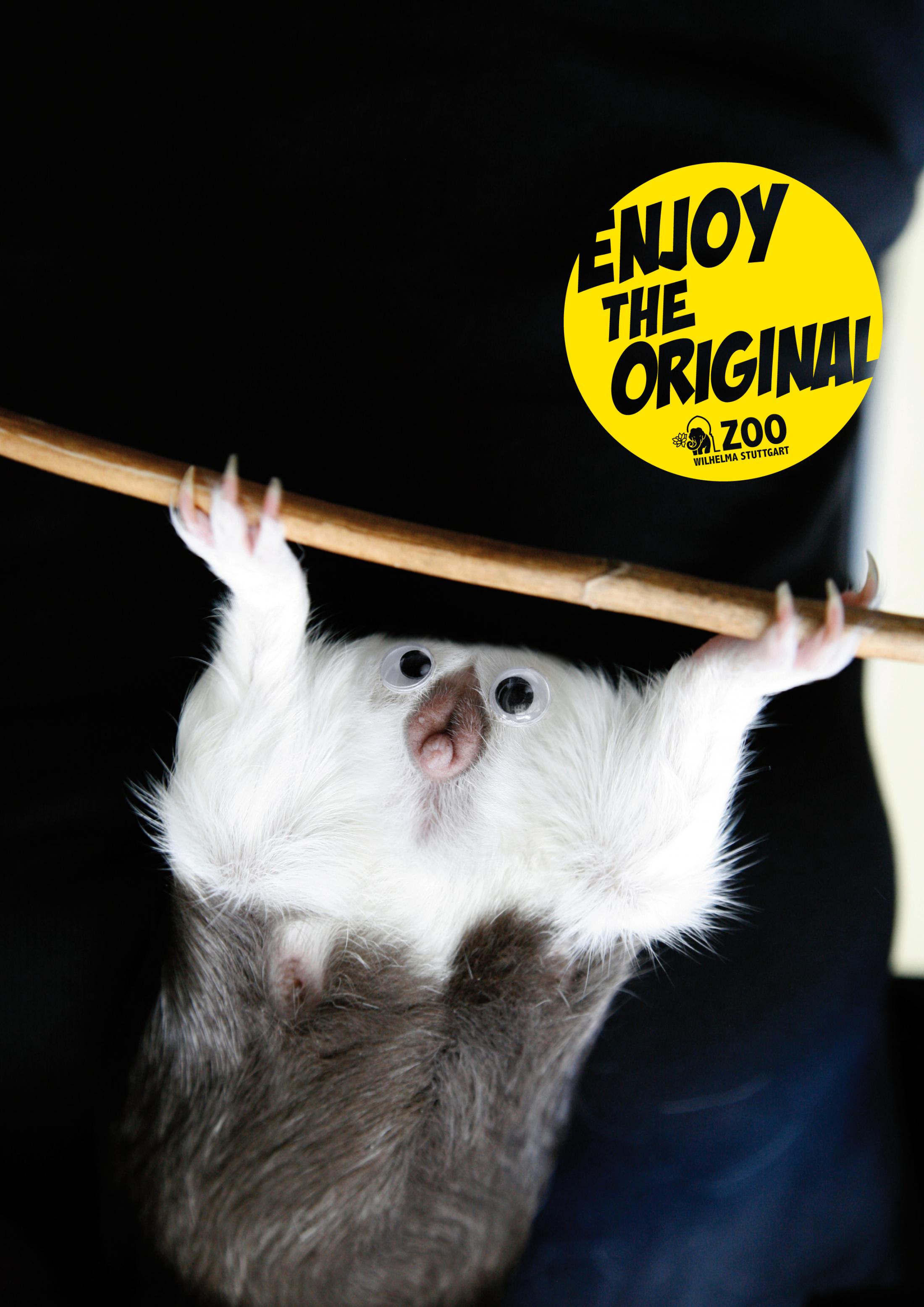 Thumbnail for Monkey