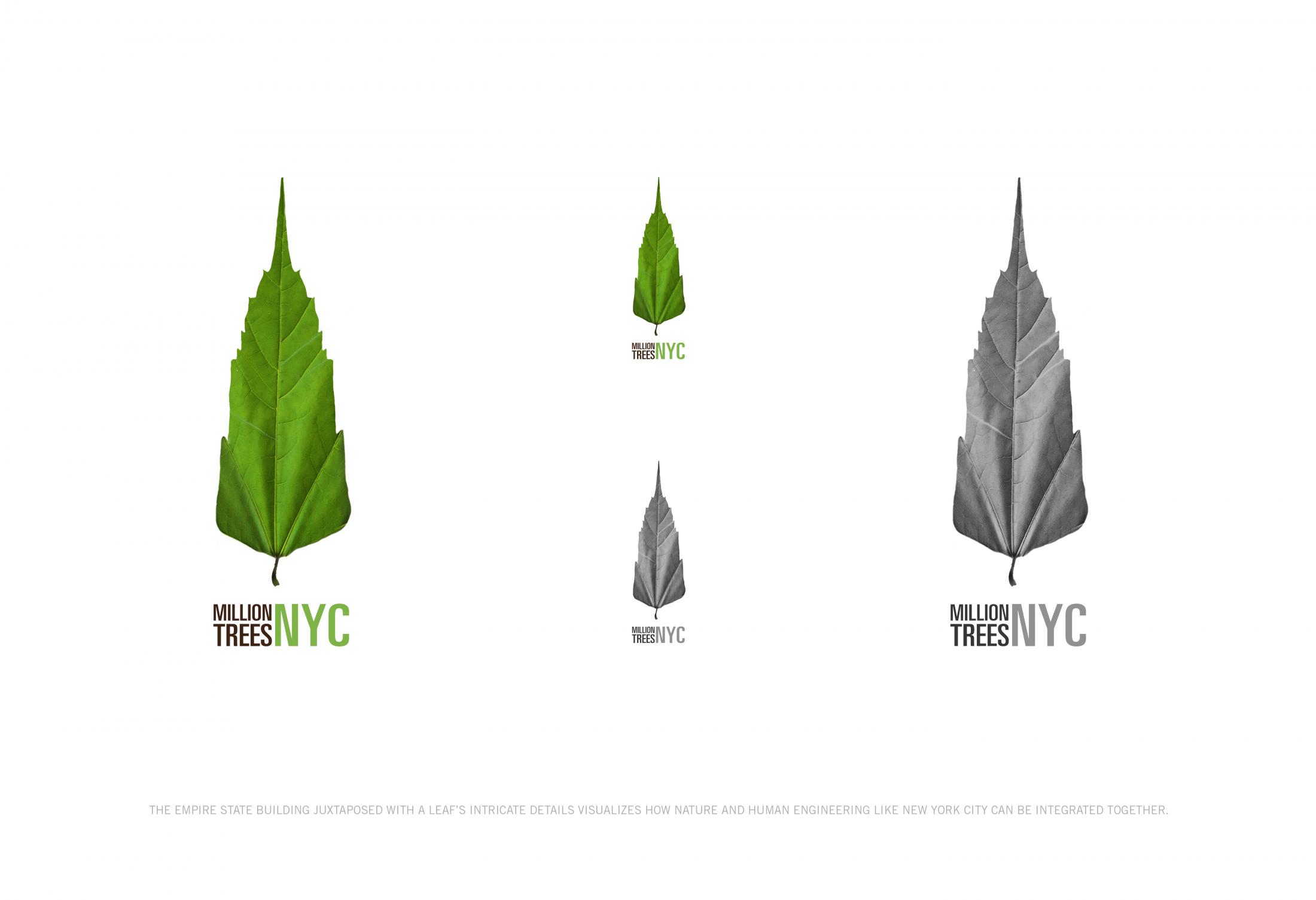 Leaf Logo Clios
