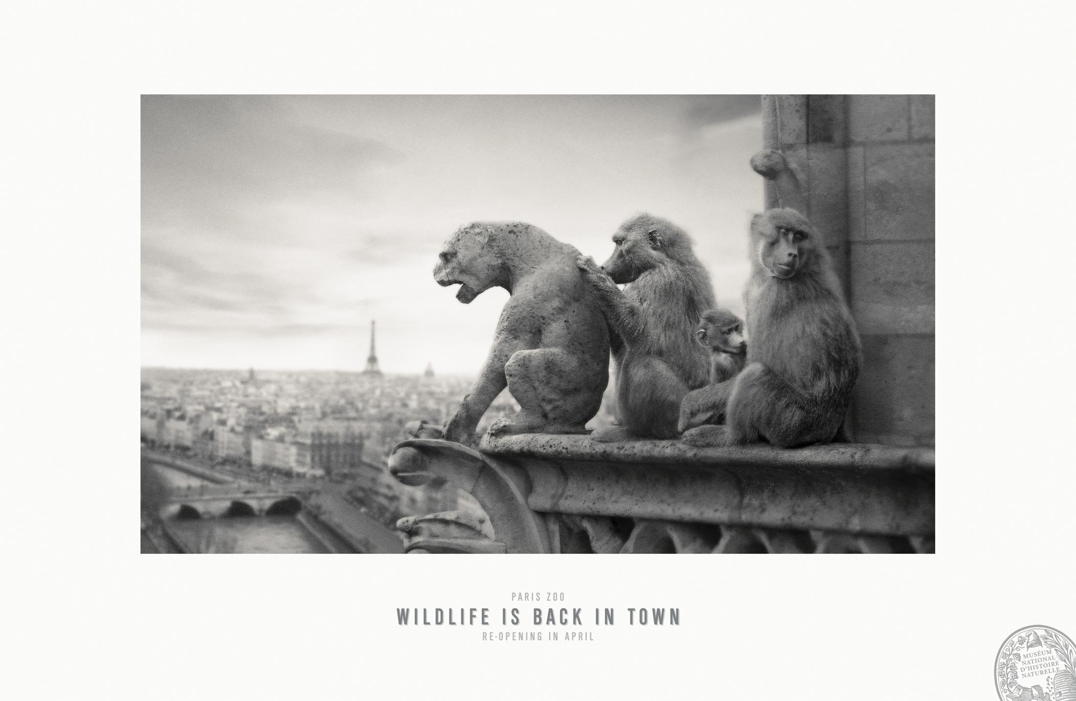 Thumbnail for Notre Dame de Paris