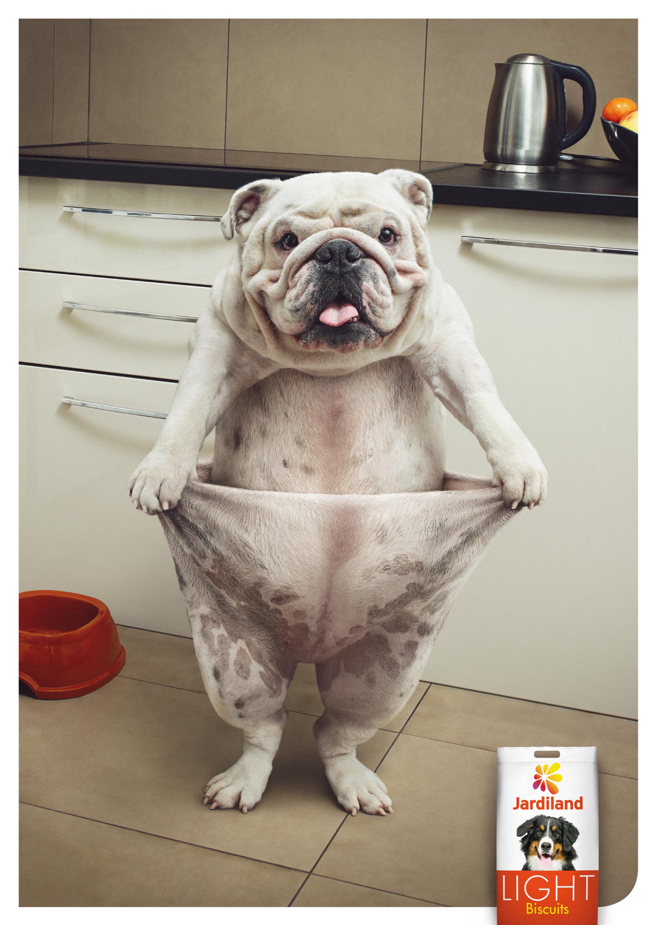 Thumbnail for DOG FAT PANTS - BULLDOG