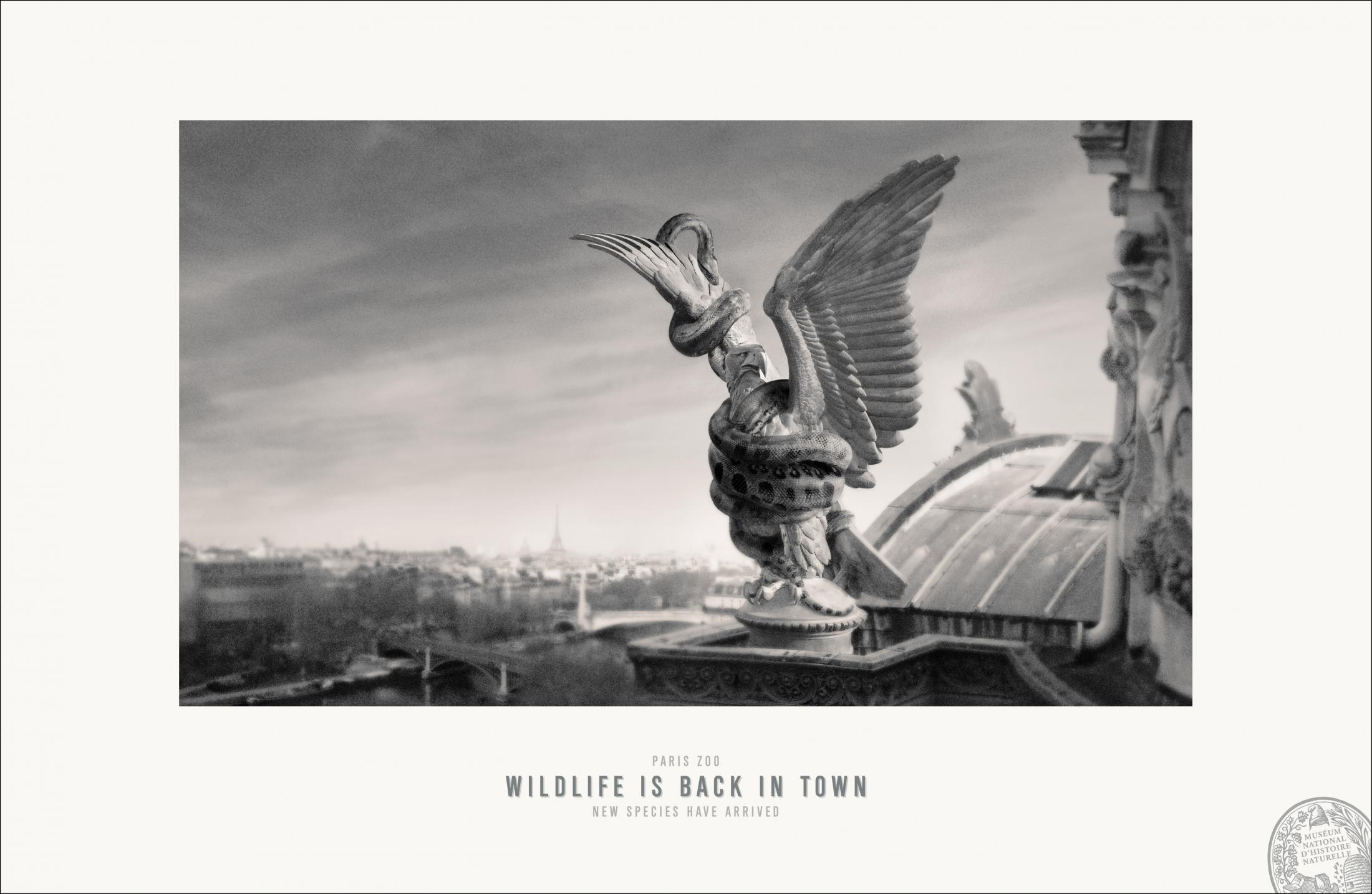 Thumbnail for Paris Zoo - Observatory