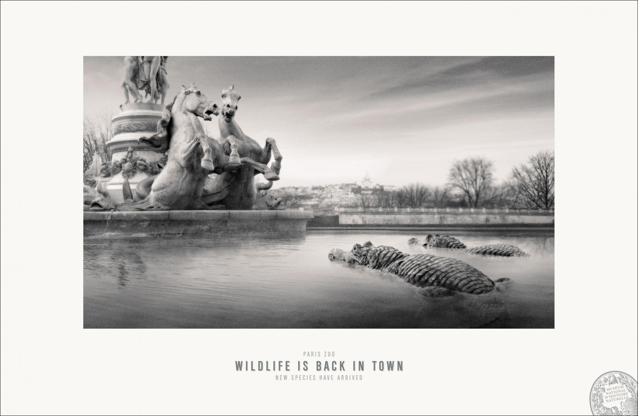 Thumbnail for Paris Zoo - Opera