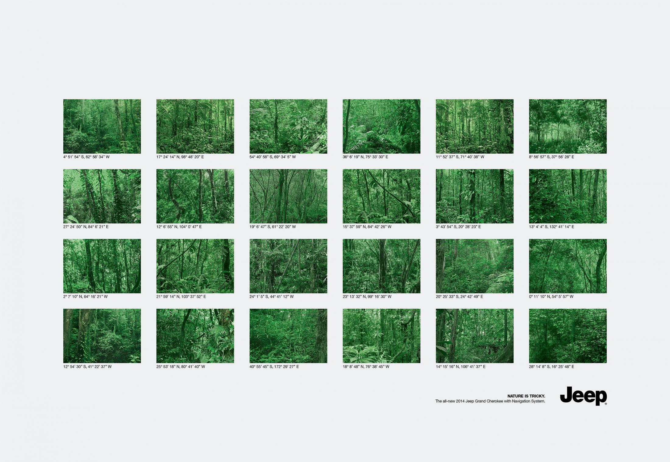 Thumbnail for Forests