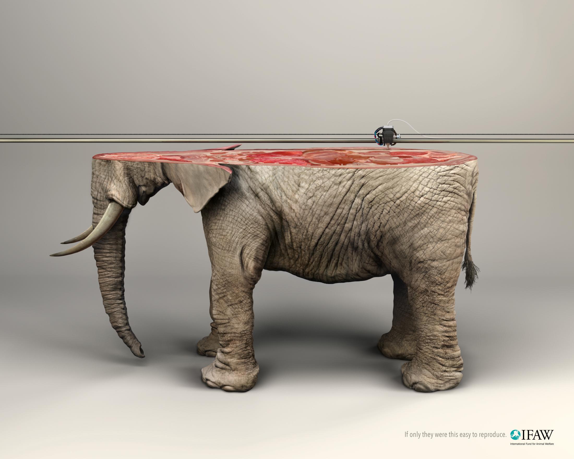 Thumbnail for 3D Printer/ELEPHANT