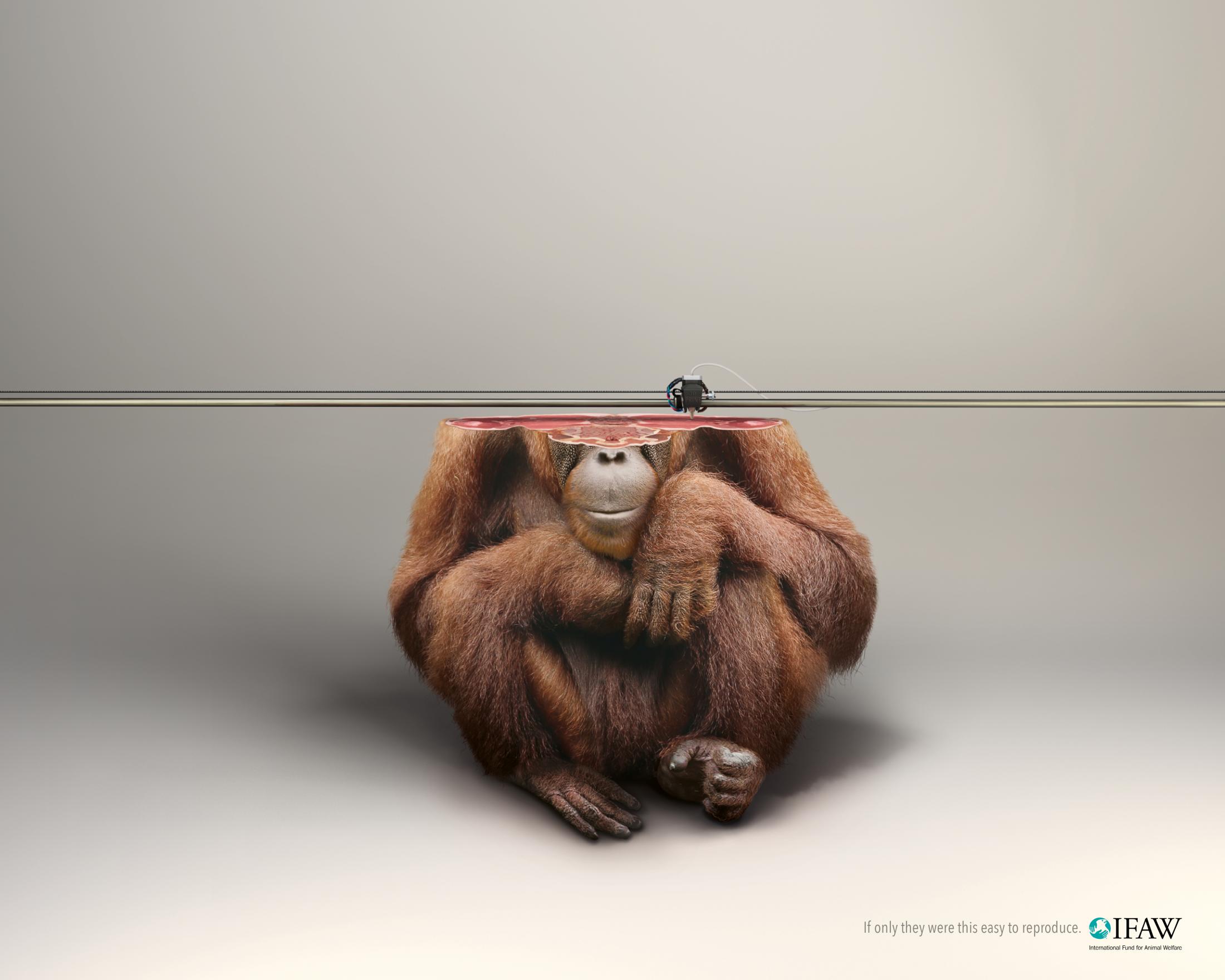 Thumbnail for 3D Printer/ORANGUTAN