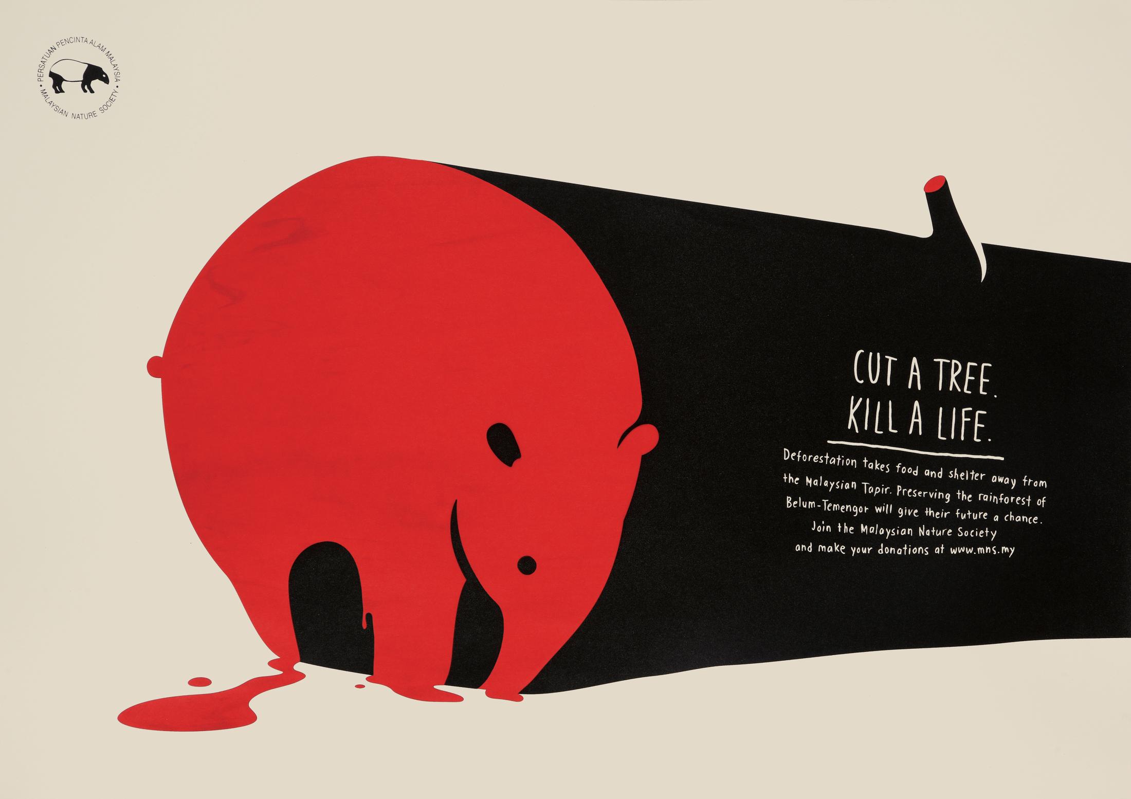 Thumbnail for Tapir