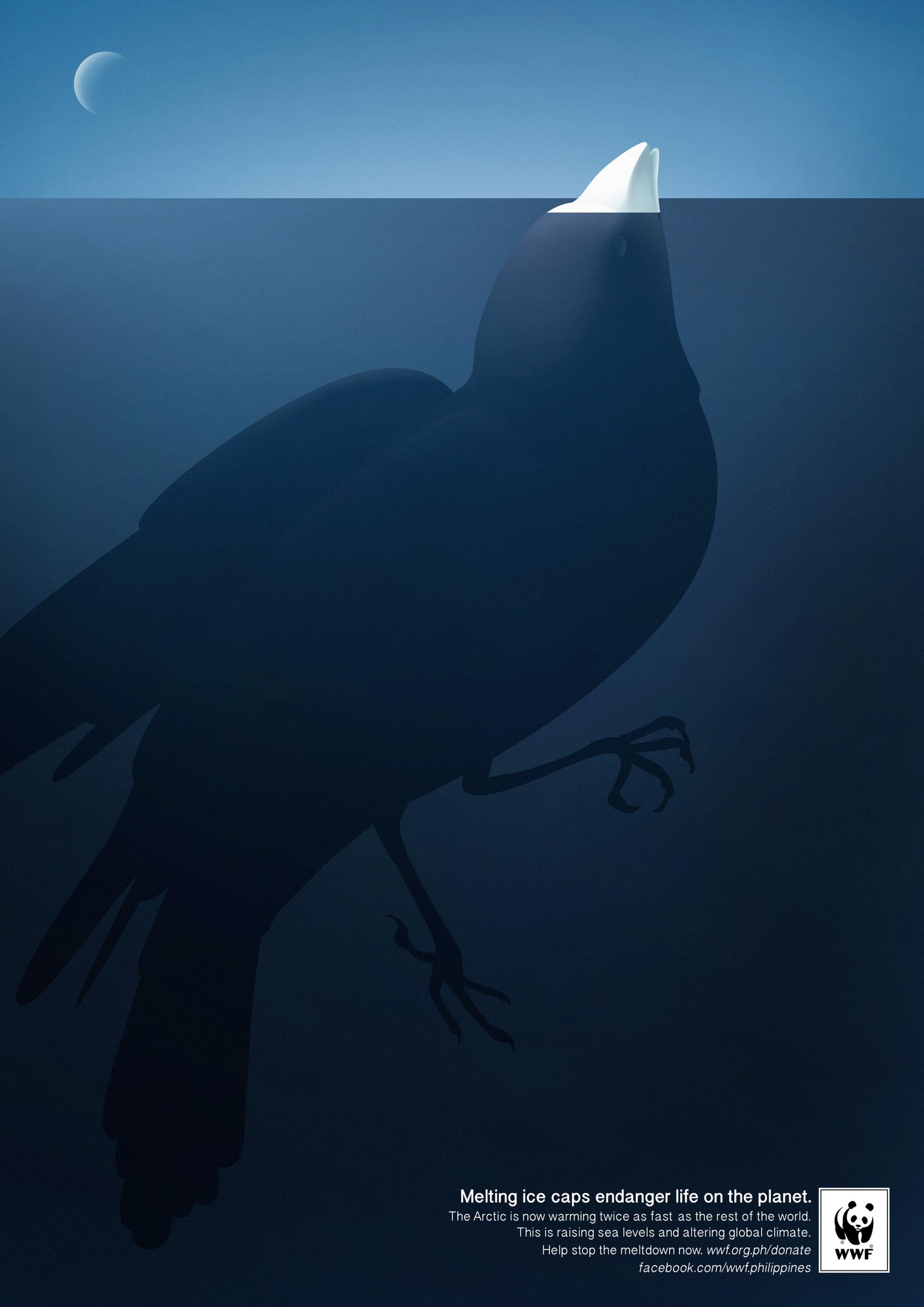 Thumbnail for Bird