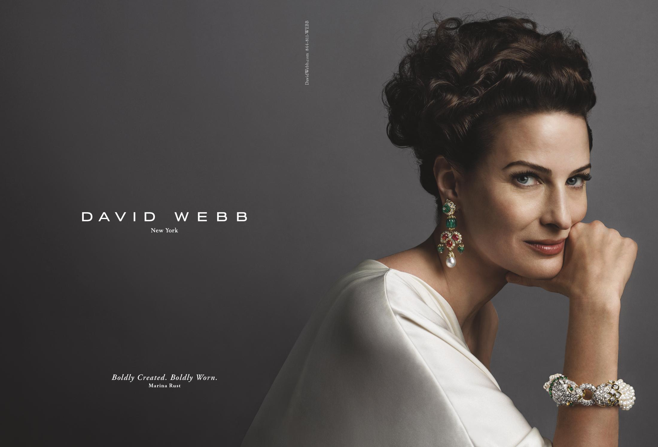 Thumbnail for David Webb