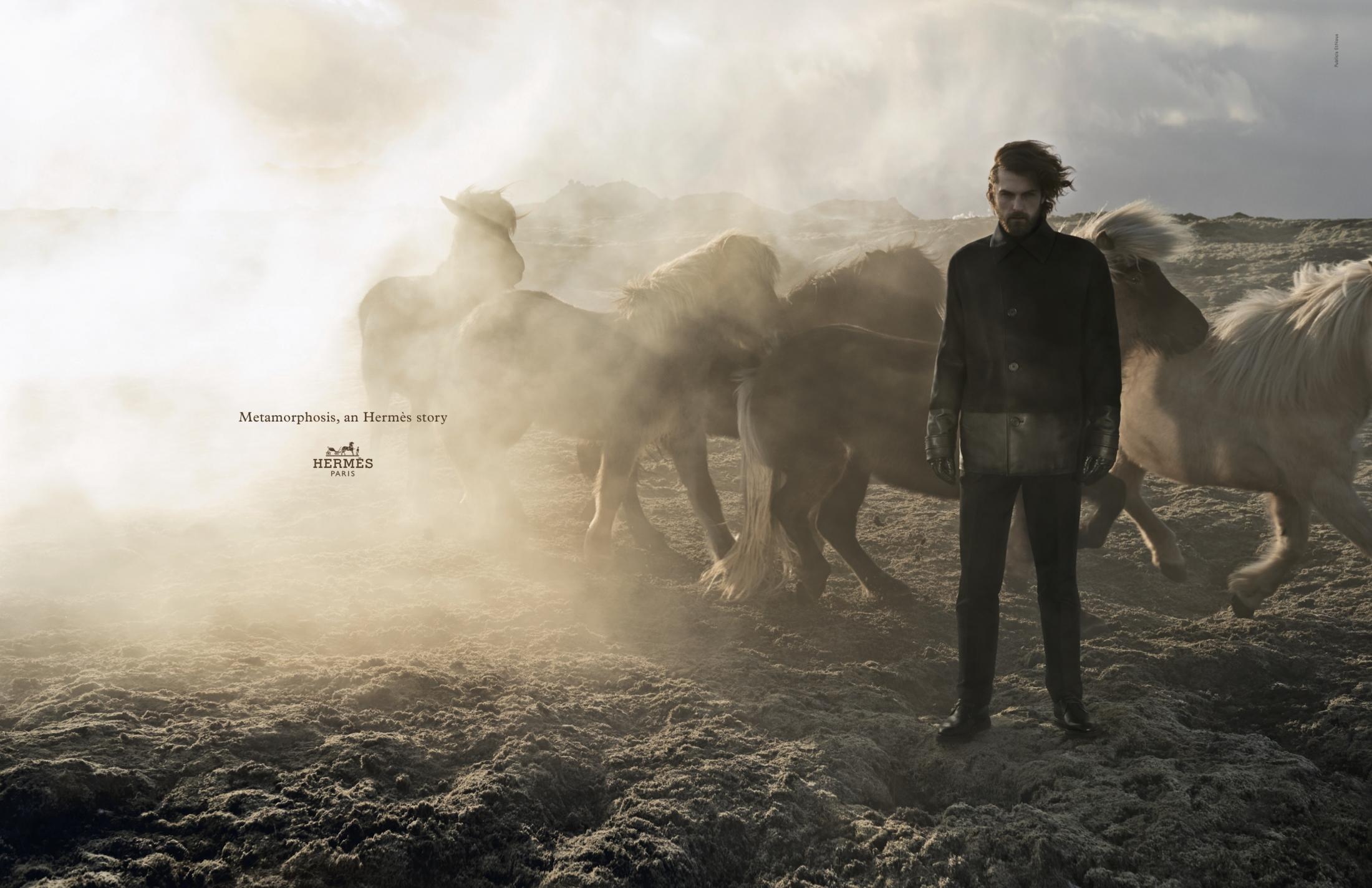 Thumbnail for Metamorphosis, an Hermès story