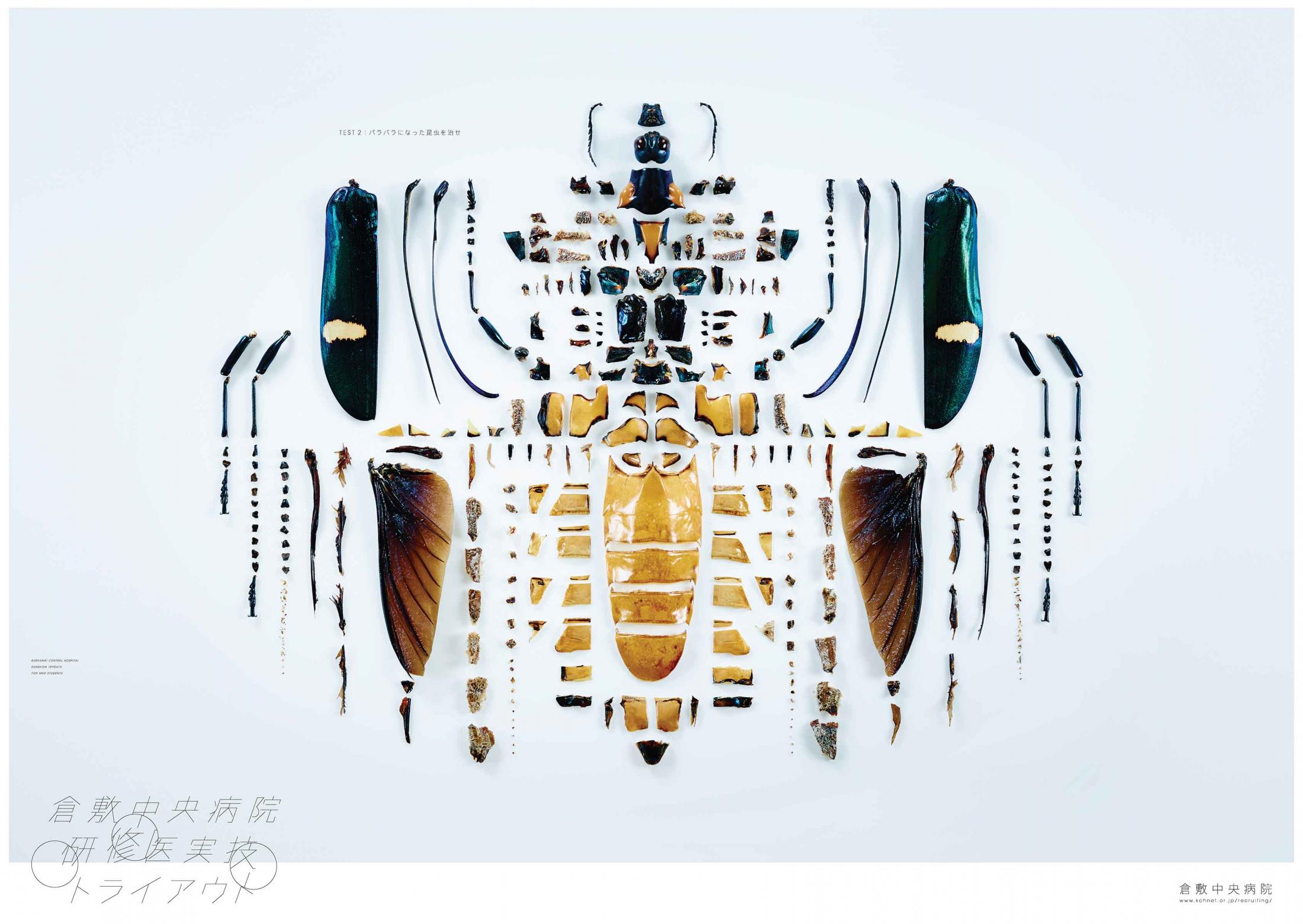 Thumbnail for INSECT