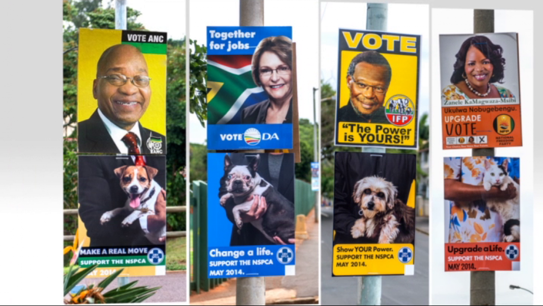 Thumbnail for Vote NSPCA