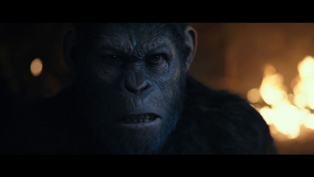 Thumbnail for Last Stand