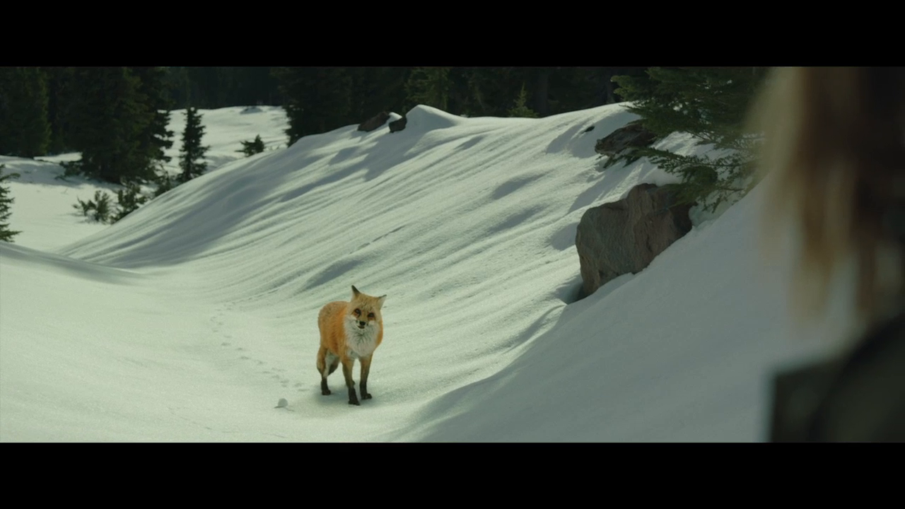 Thumbnail for TRAILER
