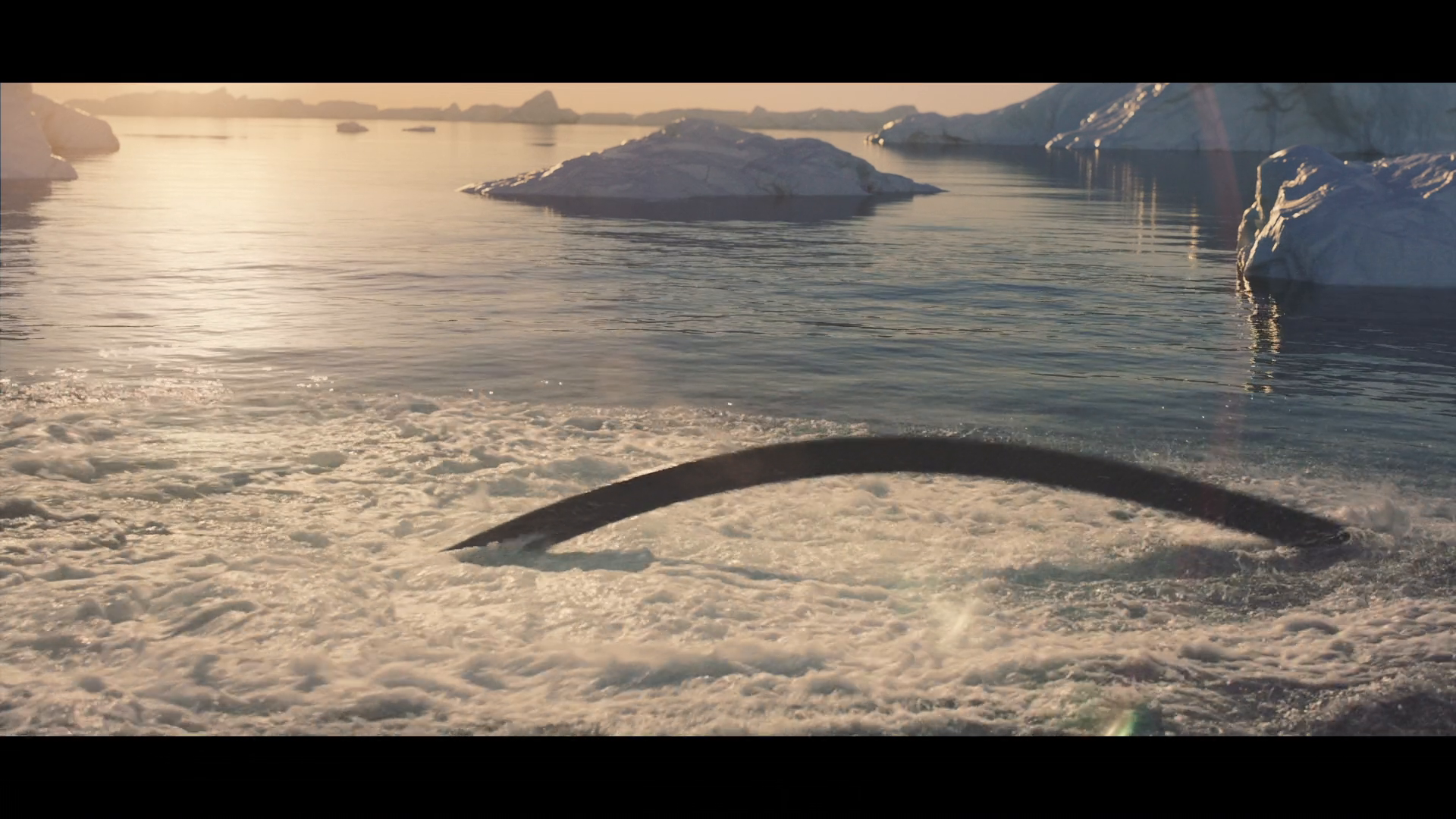 Thumbnail for FlyBoardFishing