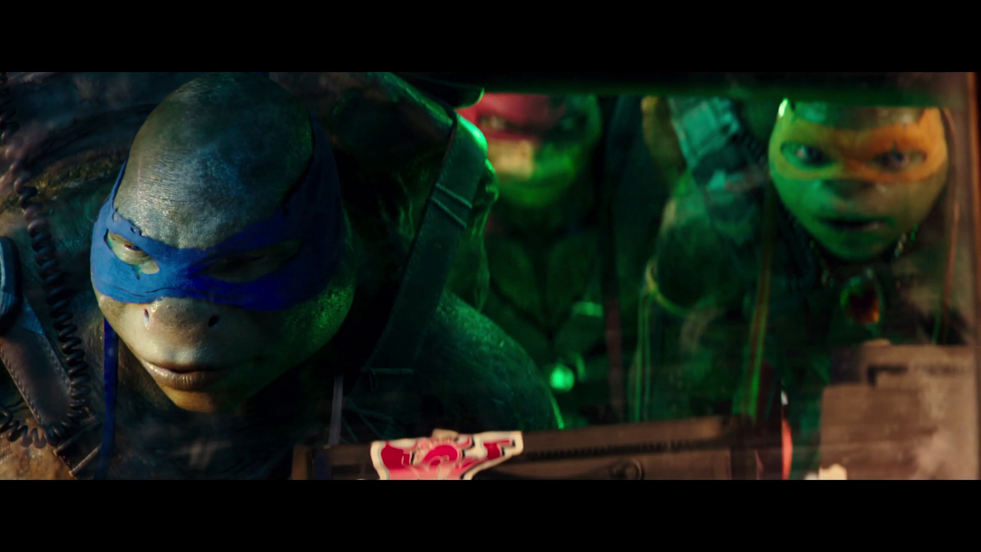 Thumbnail for Built Turtle Tough