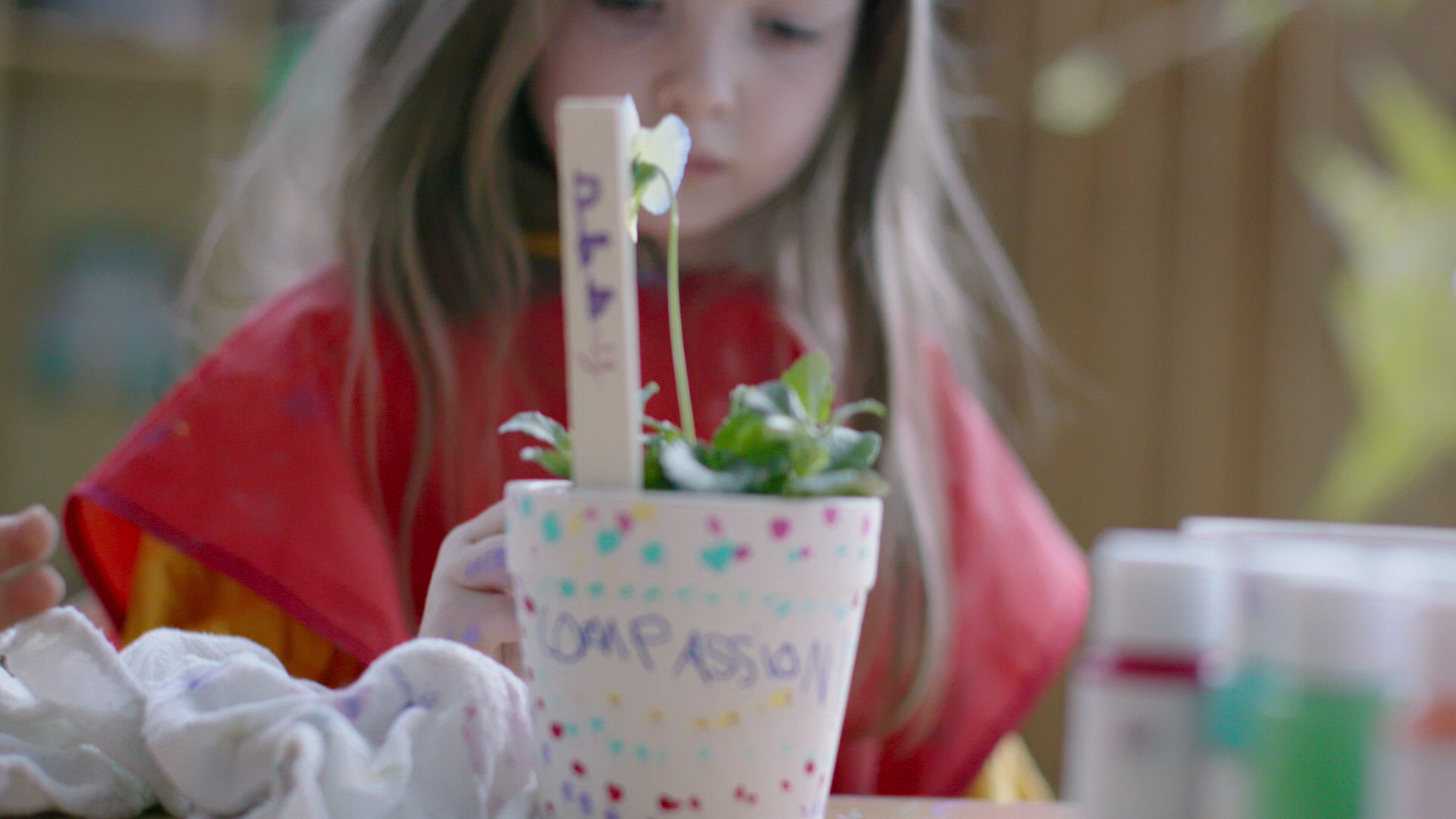 Thumbnail for Compassion Flower