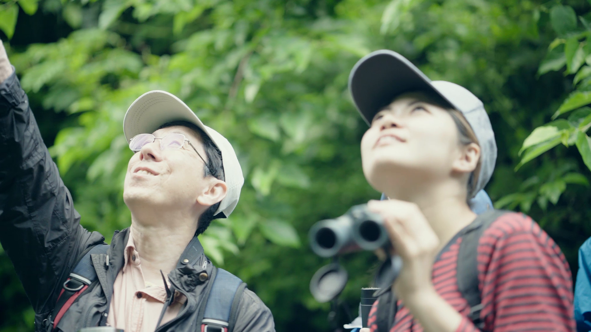 Thumbnail for Bird Hearing Test