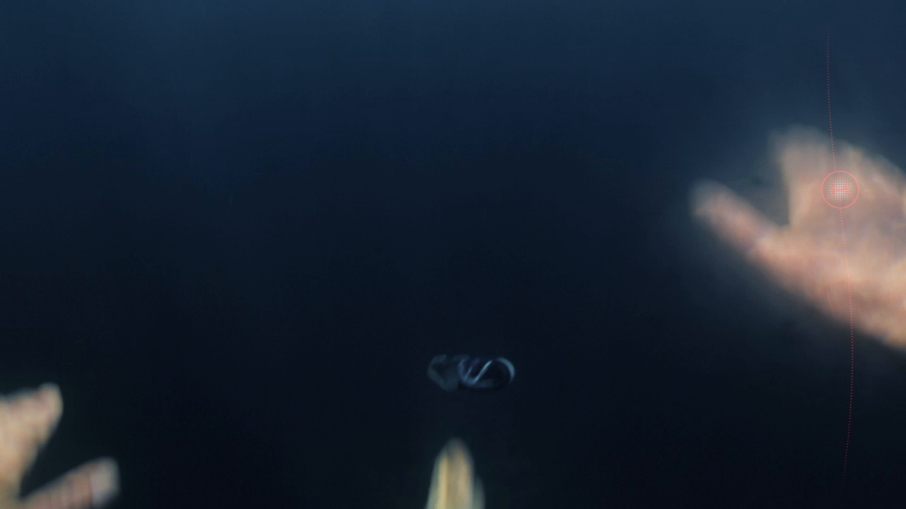 Thumbnail for Trip Out to Sea