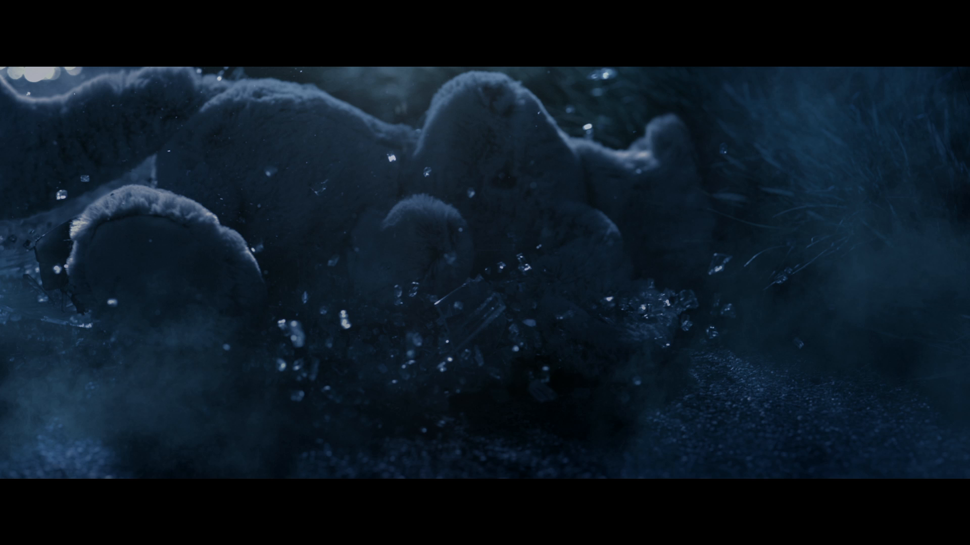 Thumbnail for Shockwave (Onde de Choc)
