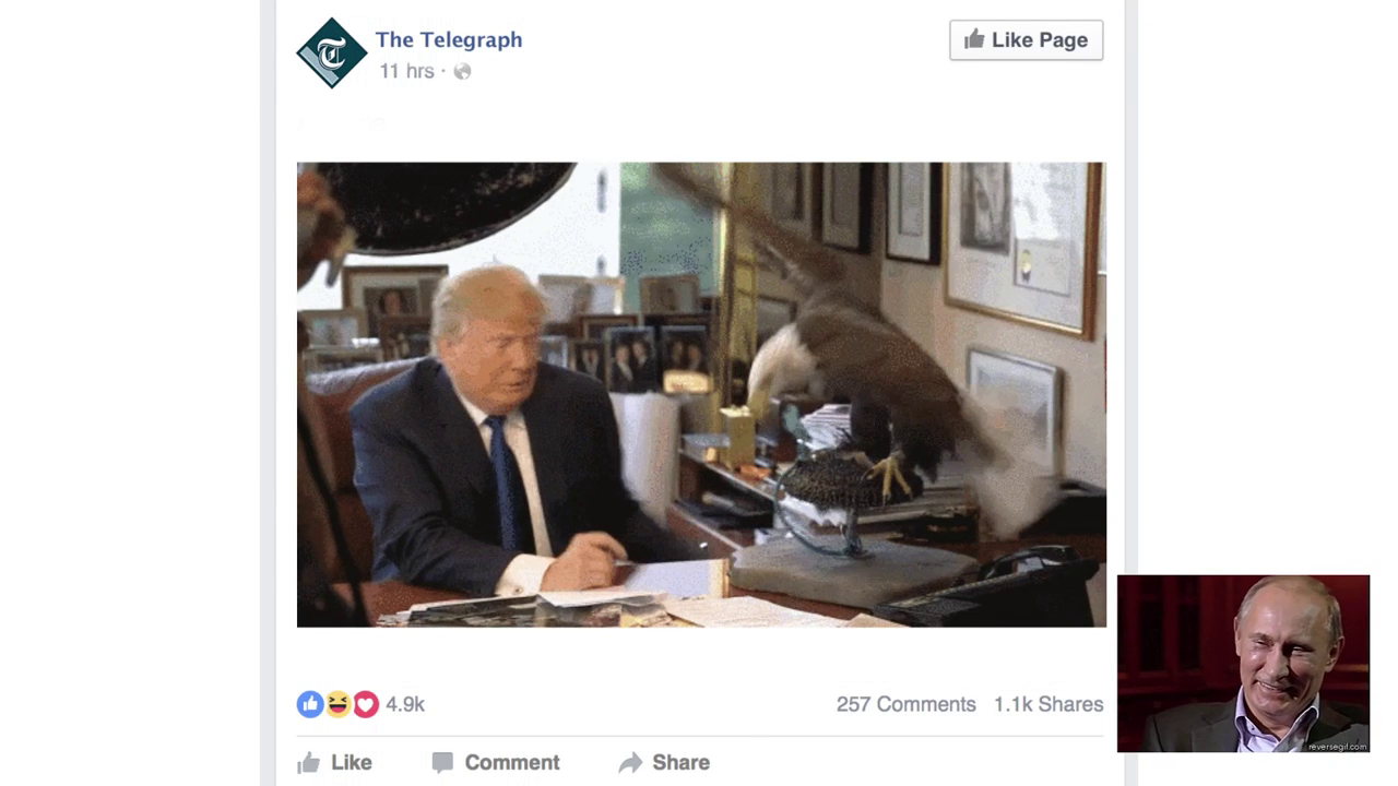 Thumbnail for TeleGifs