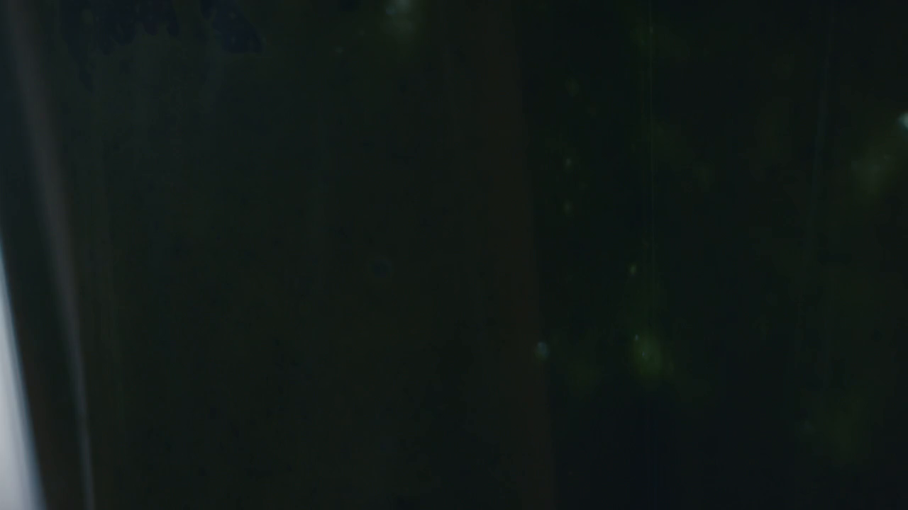 Thumbnail for Enjoy The Chase